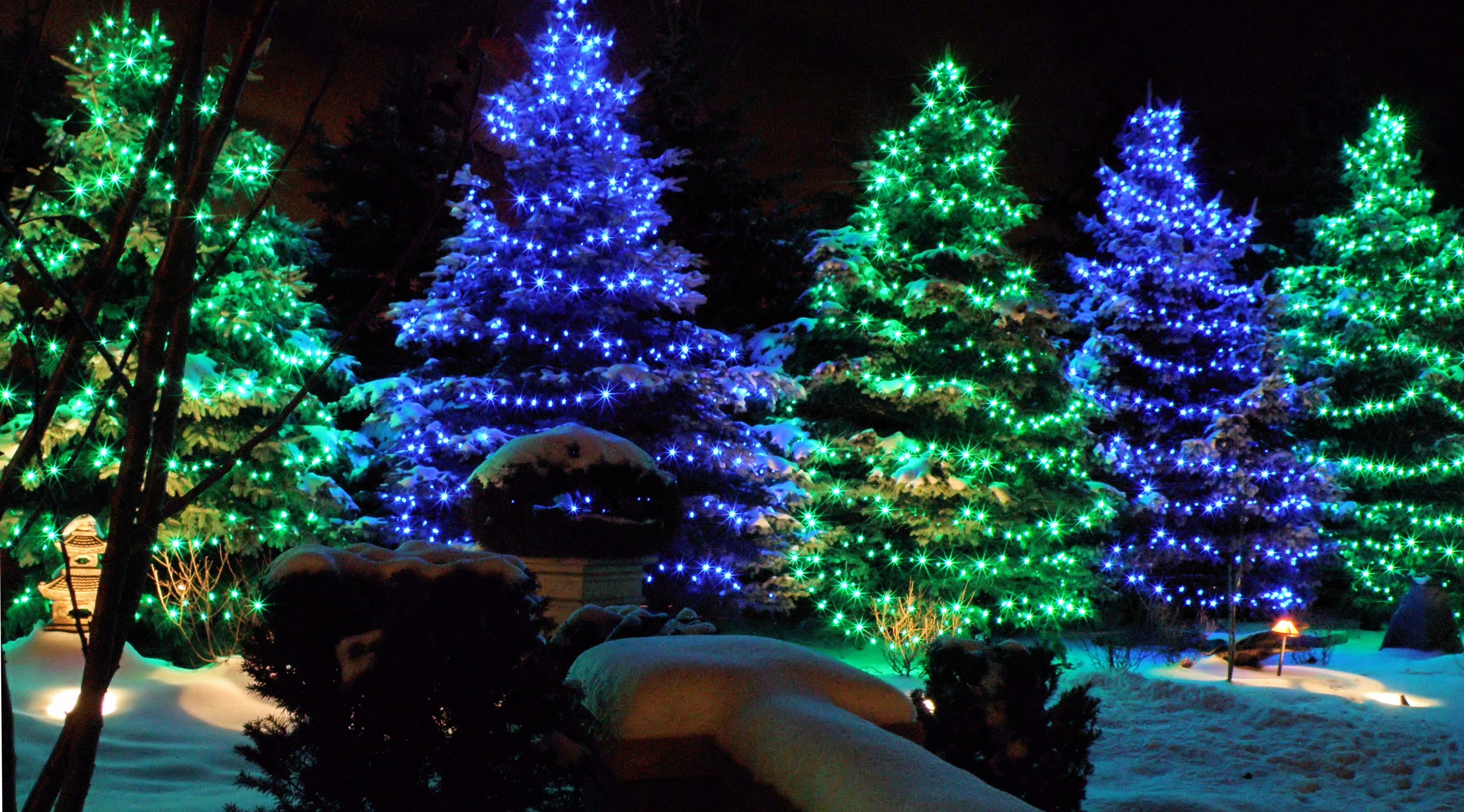 Professional commercial holiday lighting display in Austin
